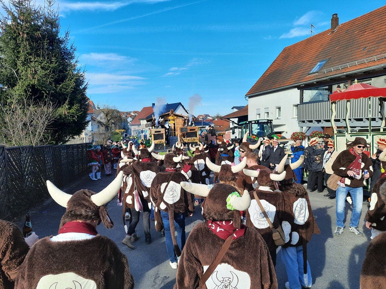 Die ganze Zimmerner Hore als Horekuh-Truppe beim Umzug 2025